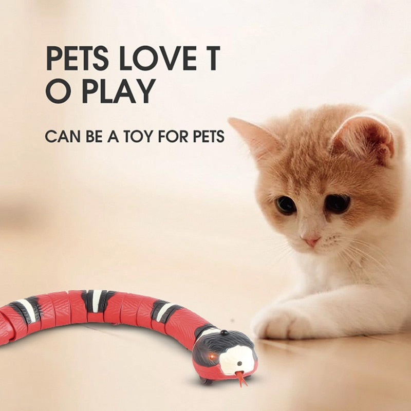 The Snake Toy