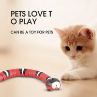 Thumbnail for The Snake Toy