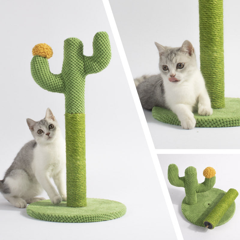 Exotic Scratching Post