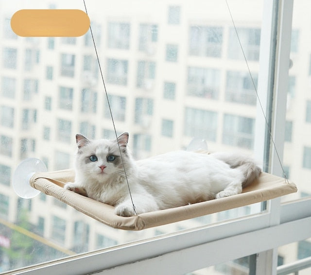 Window Cat Bed