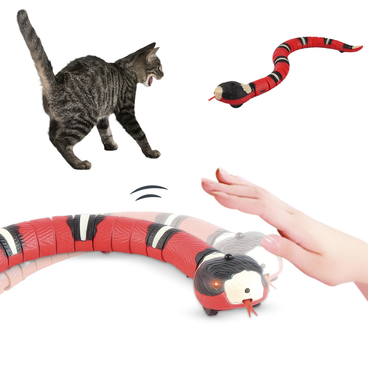 The Snake Toy