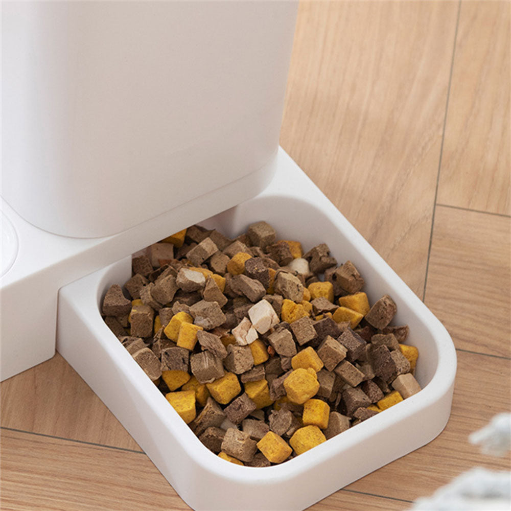 2-in-1 Automatic Feeder