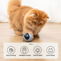 Thumbnail for Kitten Electronic Ball