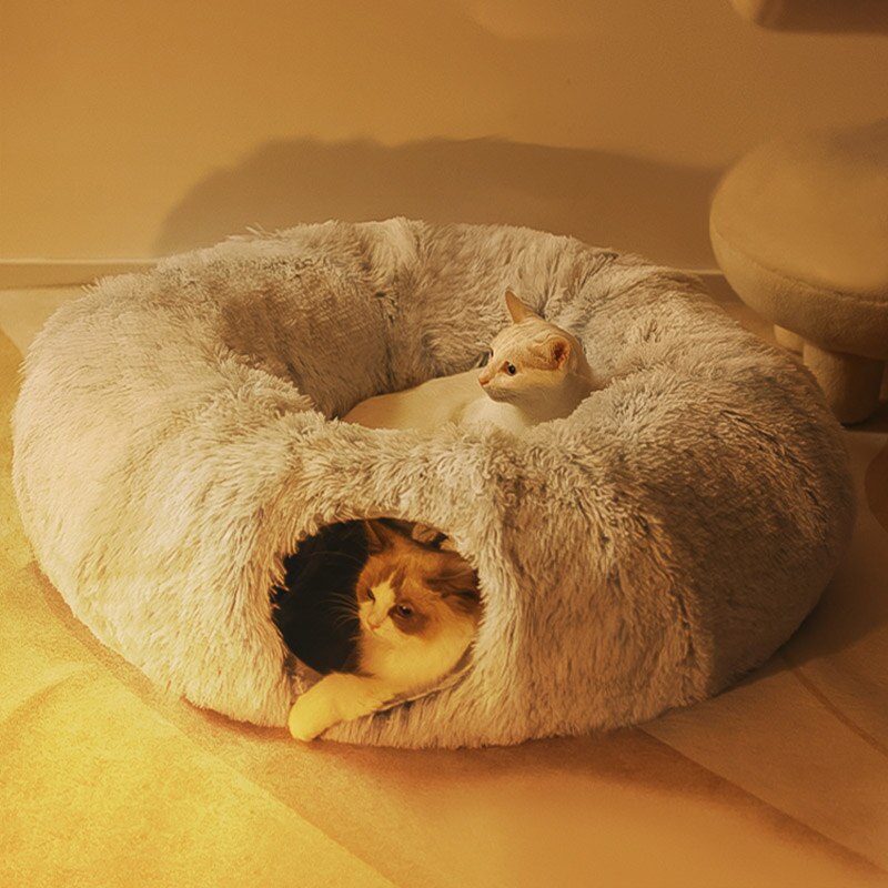 2-in-1 Tunnel Cat Bed